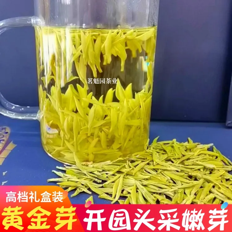 安吉2023年新茶正宗黄金芽茶叶白茶明前特级礼盒装250g绿茶春茶
