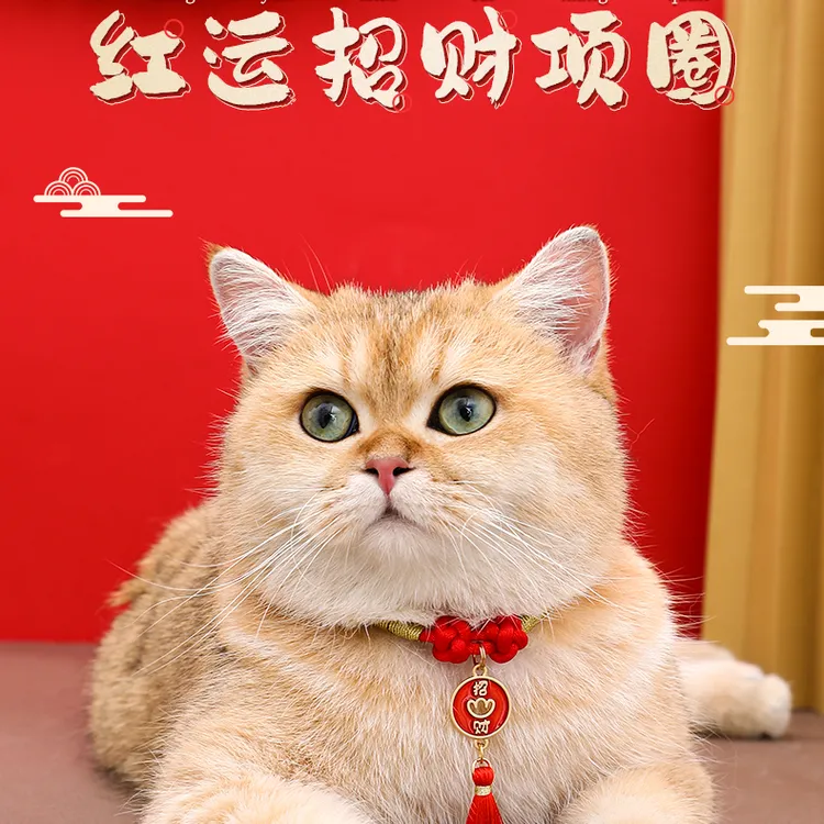 猫咪项圈鸿运祈福项链猫铃铛颈圈小型犬狗狗宠物饰品猫猫脖圈配饰