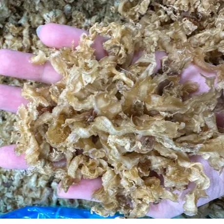 鲍鱼边干货 扇贝干边干海味干货