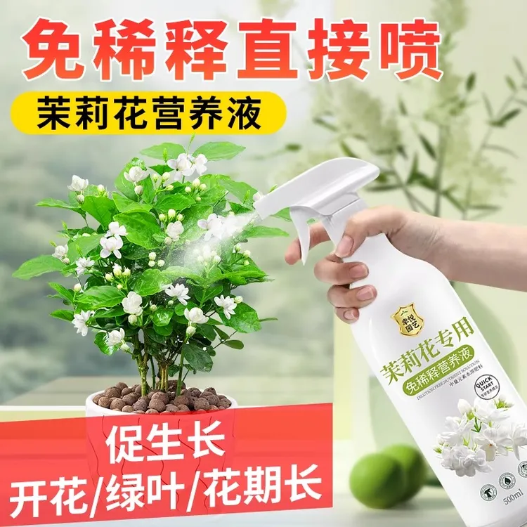 免稀释茉莉花专用营养液家用促开花绿植盆栽喜酸植物液体肥花肥料