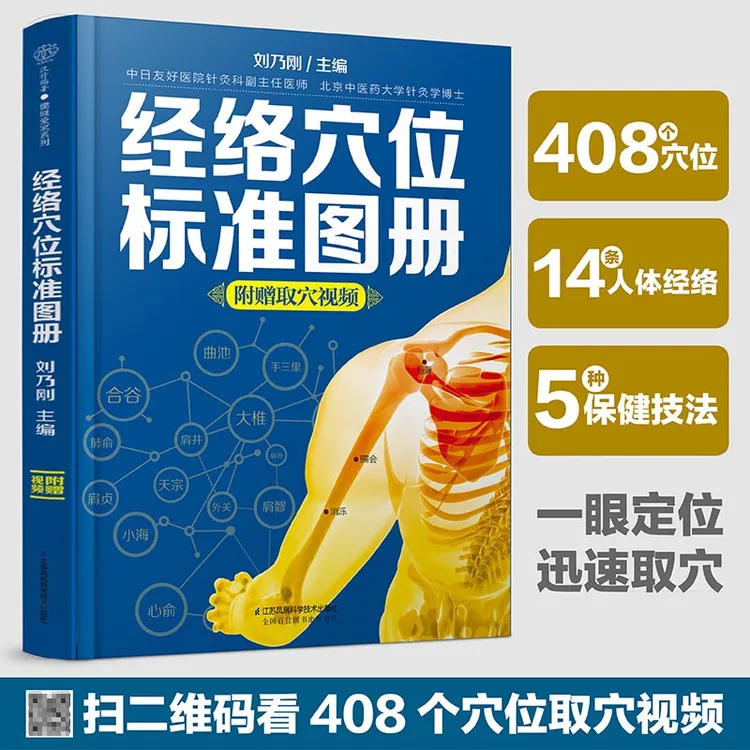 经络穴位标准图册 14条经络详解了解不同经络特点 人体经络穴位书