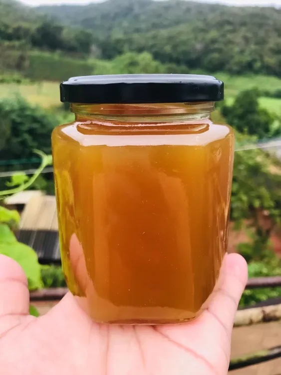 野森珍野生树酸蜜500克小酸蜜包邮