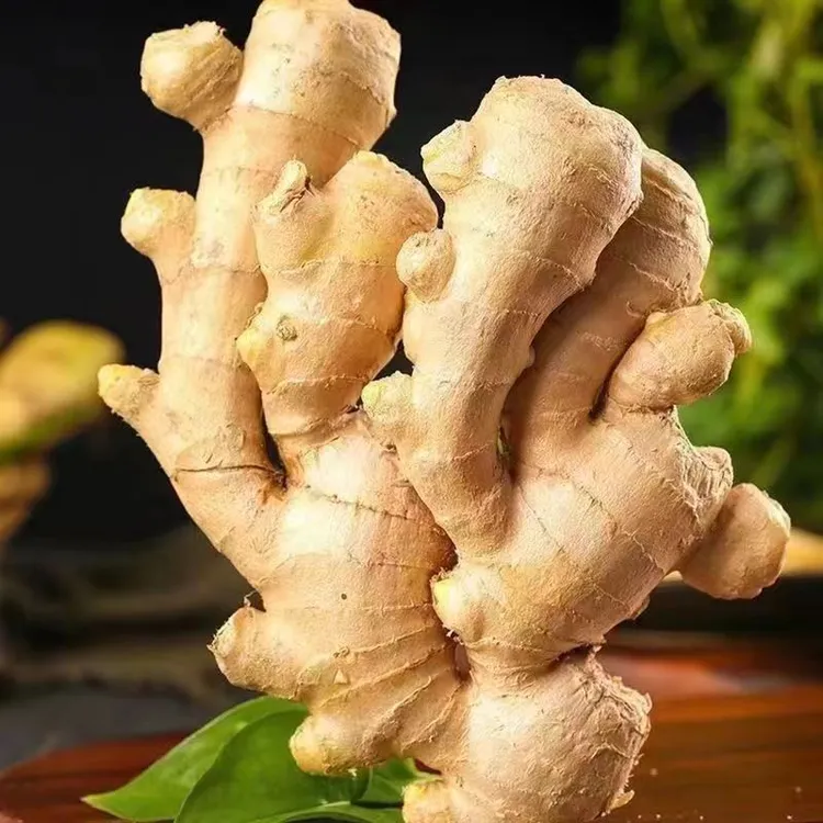 贵州小黄姜老姜煲汤炒菜贵州生姜小黄姜