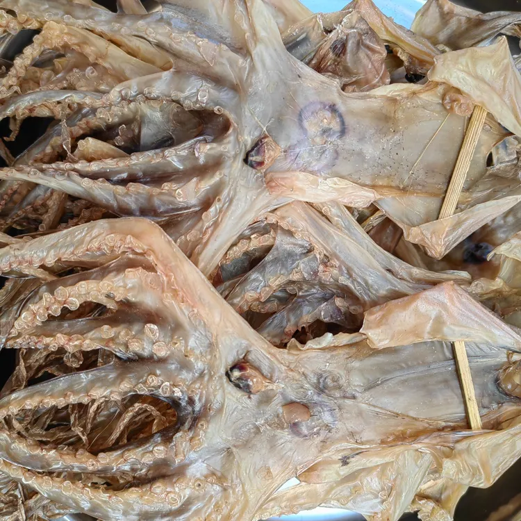 广东省汕尾本港章鱼脯（八爪鱼，淡口）