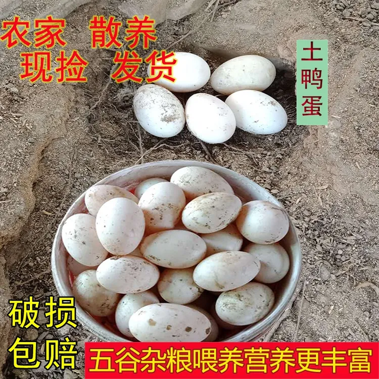 正宗农家散养新鲜初生鸭蛋初生土鸭蛋批发 农家放养10-30枚
