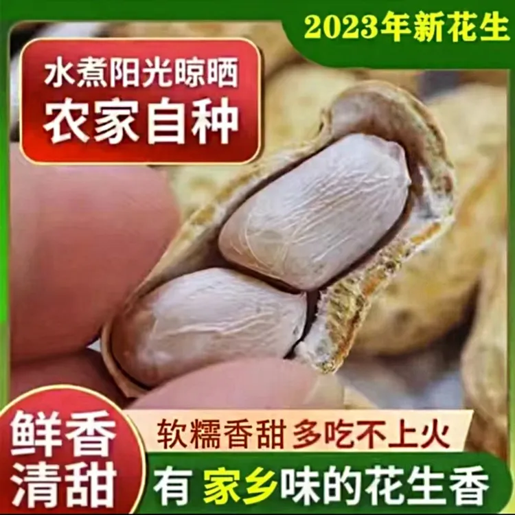 佗城九味农家水煮白玉咸干花生 农家特产 健康食品好吃营养美味