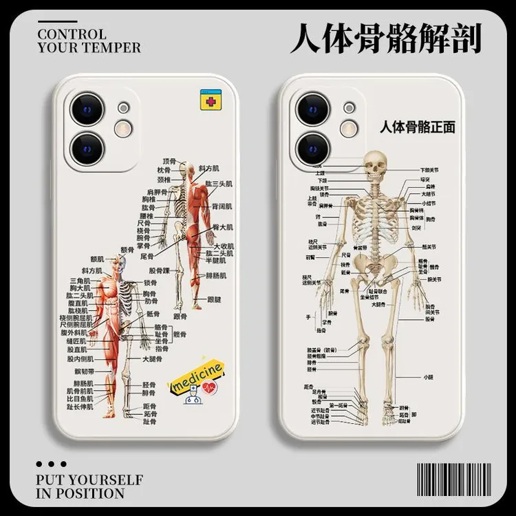 适用华为mate60Pro人体骨骼高级感nova13解剖10正面9医学生手机壳