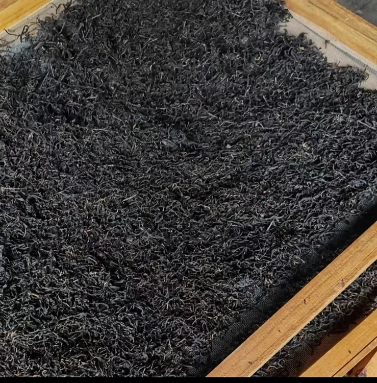不伤心老红茶 纯正高山茶 爷爷种的土茶 老树茶滋味饱满浓郁耐泡 