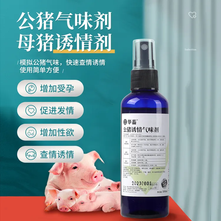 华畜【100ml】公猪气味剂母猪不发情诱情发情母猪诱情剂