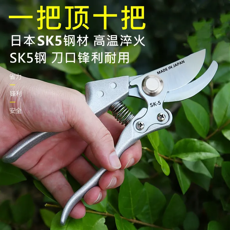 剪枝修枝剪粗枝花卉修花剪子家用园艺果剪剪刀剪树枝园林果树专用