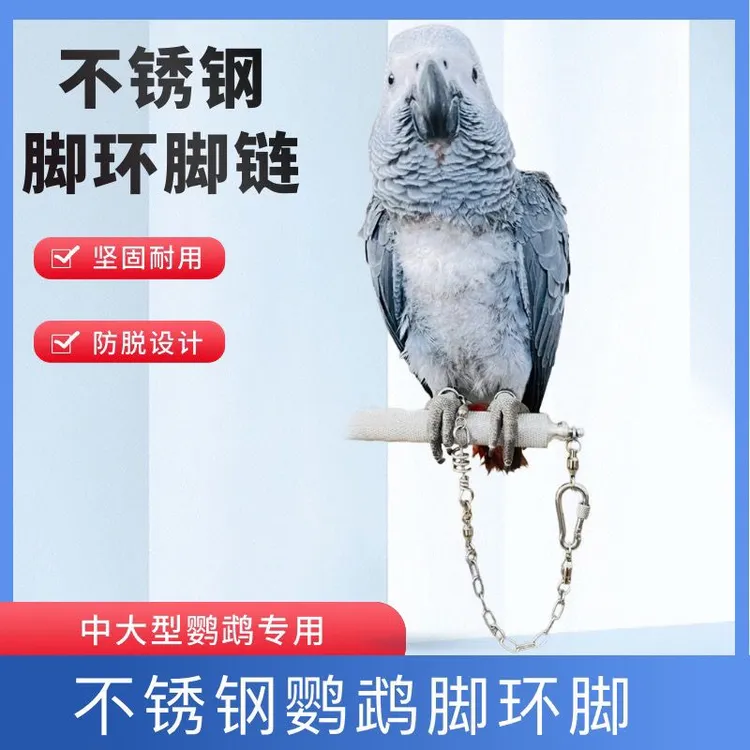 鹦鹉不锈钢脚环脚链开口活扣防脱扣防咬牡丹玄凤鹦鹉鸟链子