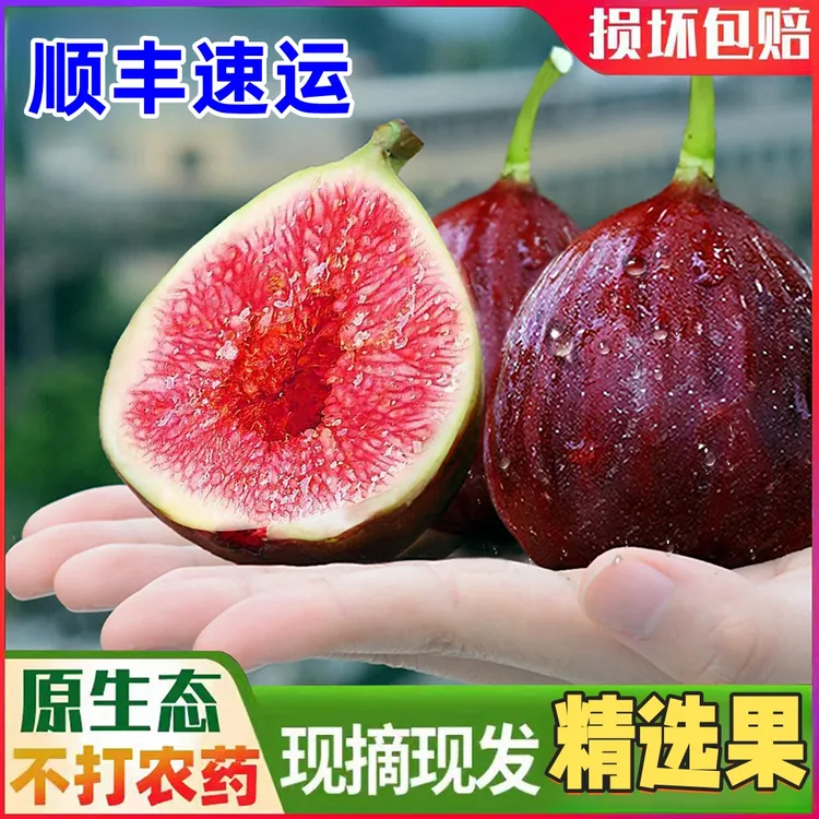 顺丰现摘云南新鲜无花果特大果精选红皮无花果非格莱斯青皮无花果