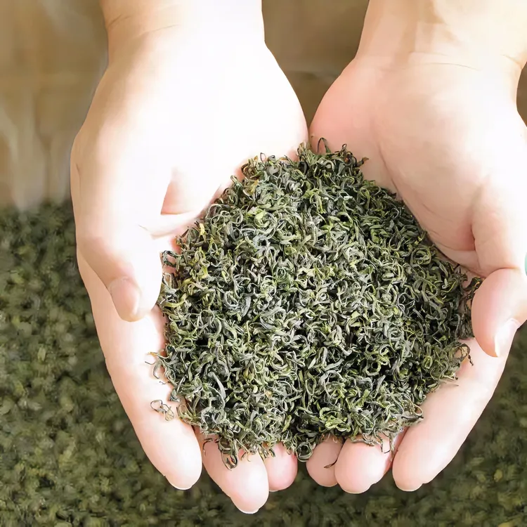 白茶炒青 白茶毛尖 白茶碧螺春 正宗溧阳炒青 2025新茶500g