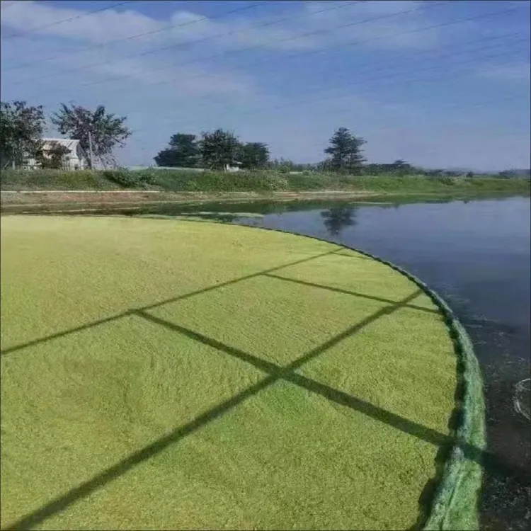 15米除污网拉青苔浮萍带浮条带铁链河道养殖除污打捞浮萍打捞