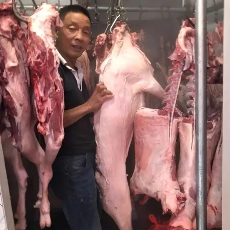 老陈家上海崇明白山羊羊肉3斤起羊排羊腿带皮带骨热气山羊肉