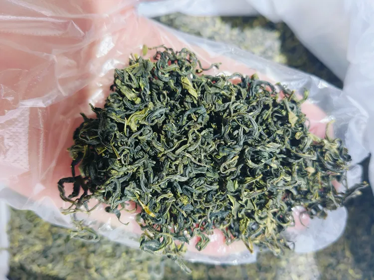 礼盒包装（日照绿茶）