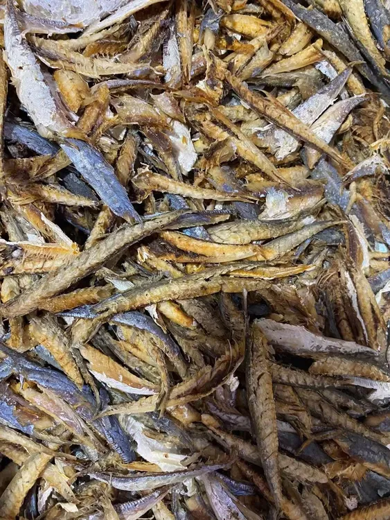 巴浪鱼肉 肉多去骨 福建特产 淡干 鲜香 巴浪鱼干 散装小海鱼  
