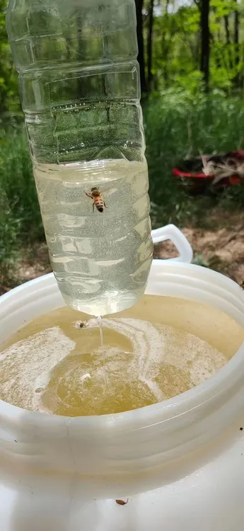 深山农家土蜂蜜天然野生百花蜜传统木桶一年取一次自然成熟原蜜