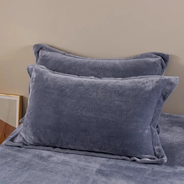 冬季牛奶绒枕套一对装家用珊瑚绒厚枕头套单个48x74cm枕芯内胆套2