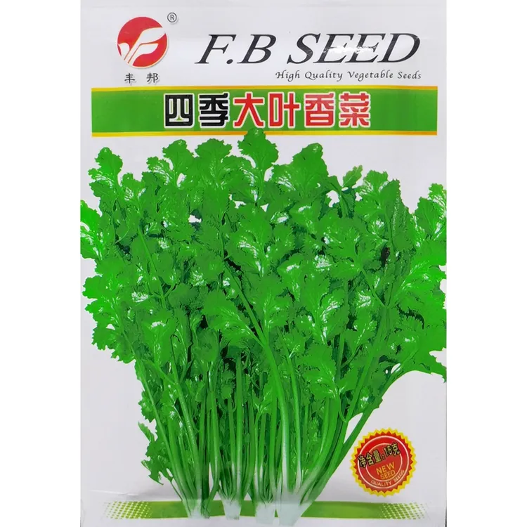 大叶香菜种子大叶芫荽种子蔬菜种籽绿丰园种子四季播15克约800粒
