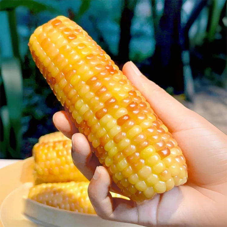 【云南果果】云南西双版纳老品种香糯小玉米代餐早餐2斤/5斤/8斤