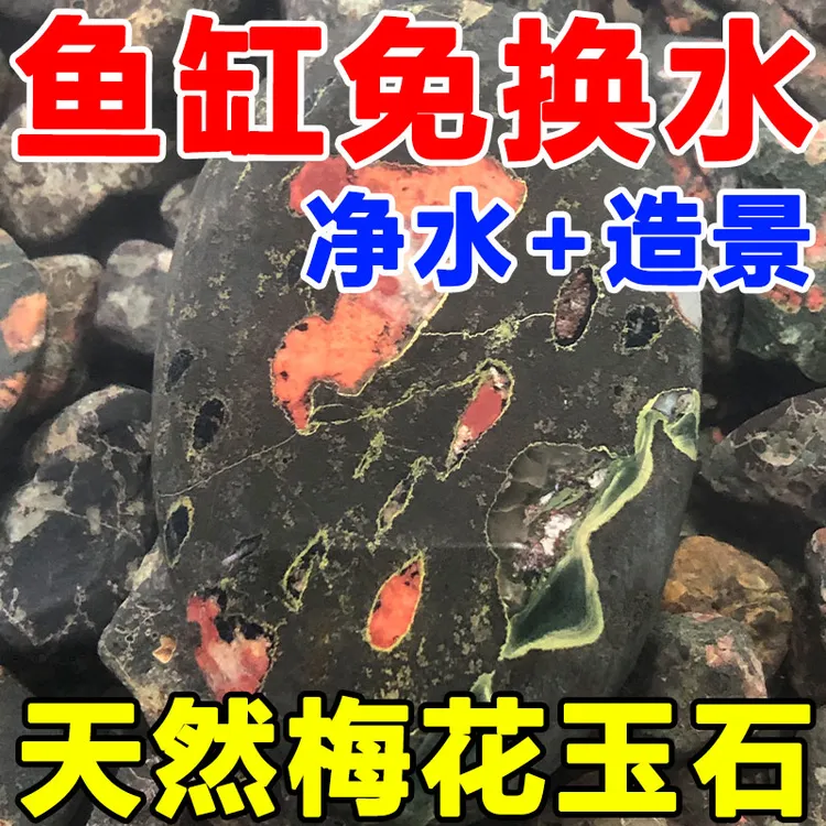 【古法养鱼】天然梅花石底砂鱼缸专用净化水质养鱼缸石鱼缸净水石