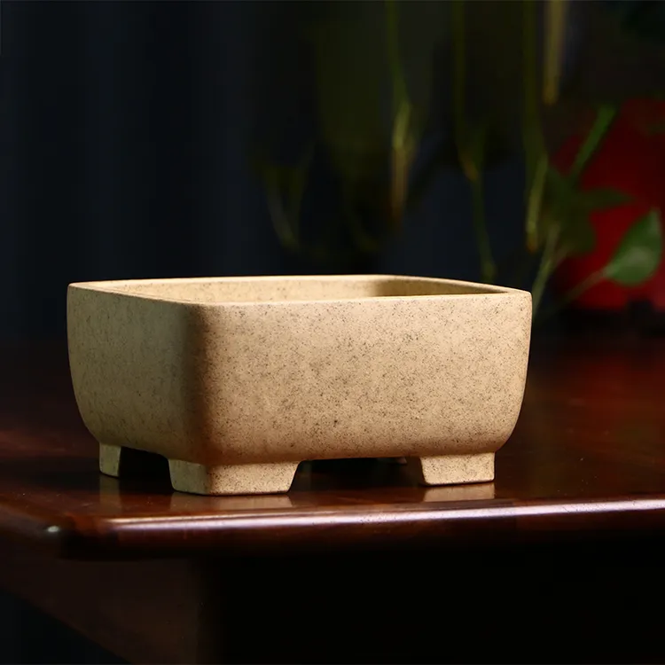 宜兴紫砂盆景花盆简约老桩榕树小盆景盆多肉菖蒲创意手工制作四方