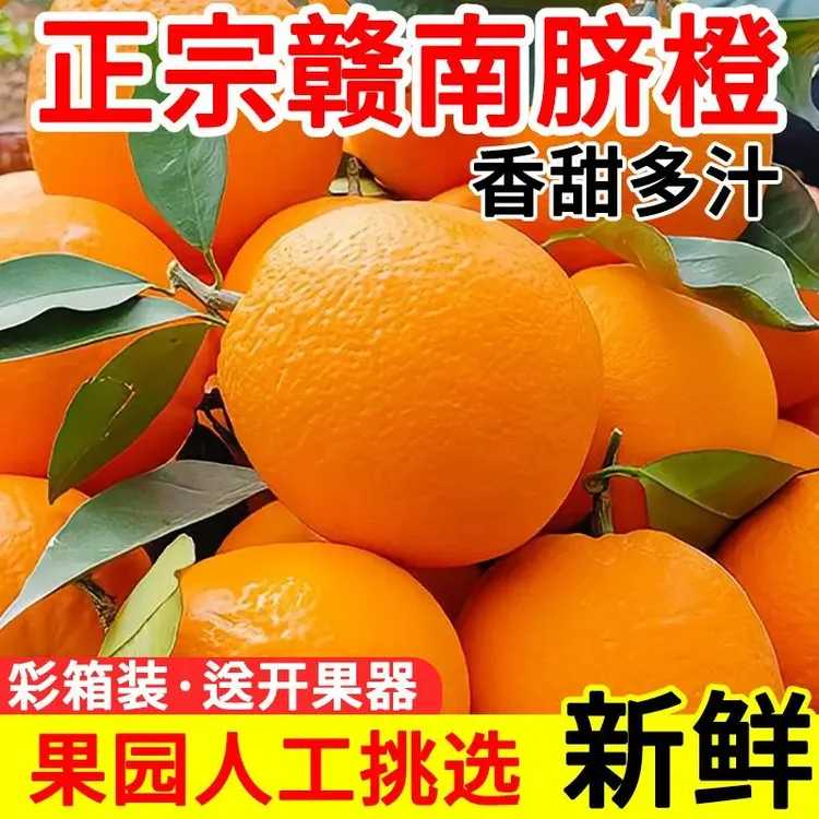 赣南脐橙江西特产新鲜水果皮薄肉甜多汁榨汁橙子自然成熟现摘现发