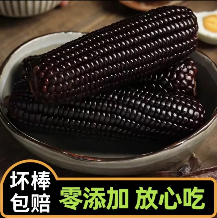 东北新鲜采摘黑糯玉米拍8送2共10支*200-250g整箱2200gyu2