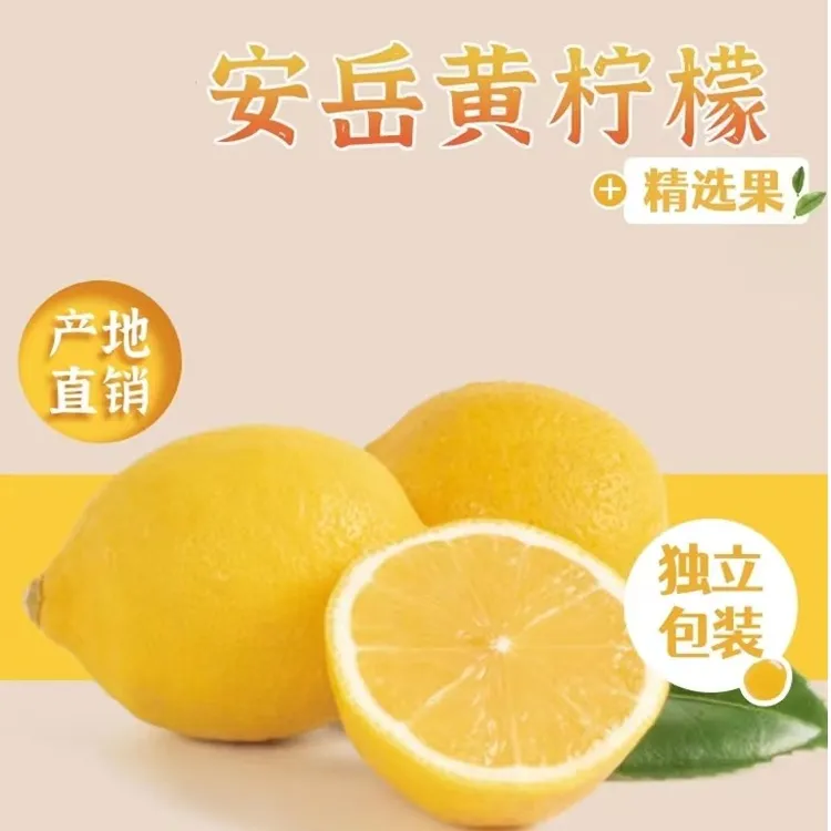 【中通快递】黄柠檬安岳黄柠檬 单果150g+ 装 3斤5斤包邮