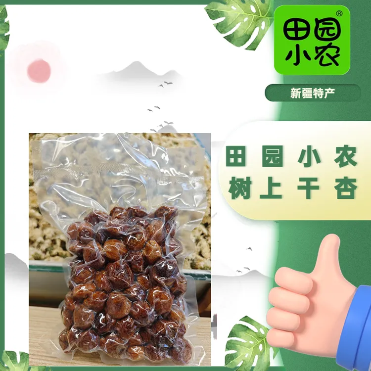 田园小农树上干杏（一杏两吃）新疆无添加天然解馋杏肉酸甜蜜饯果脯