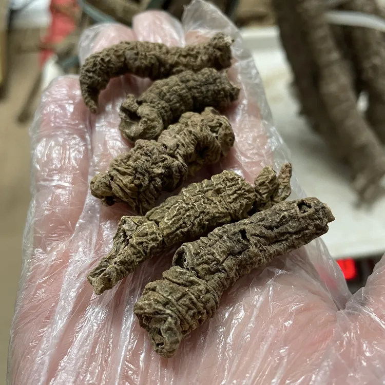 野巴戟薯起皱皮三蒸晒鸡肠薯紫薯抽芯晒干农家山货