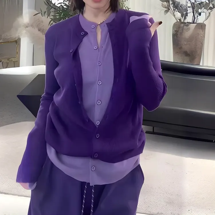 简约设计感紫色假两件上衣女2024早秋新款舒适显瘦洋气百搭长袖