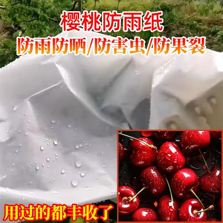 樱桃防雨纸防鸟袋子套纸果腊纸防水防裂果车厘子大樱桃遮雨专用纸