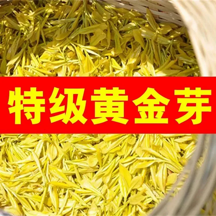 高档黄金芽】2025新茶正宗绿茶叶特级一级雨前珍稀白茶黄金叶250g