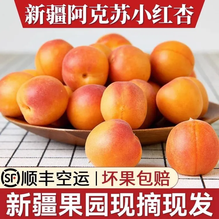 【新鲜速发】新疆小红杏新鲜现摘伊犁季吊干杏鲜杏甜杏子胜小白杏
