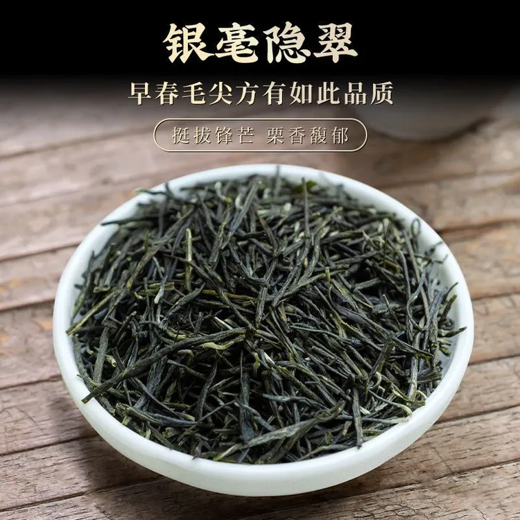 2025新茶春茶明前毛尖嫩芽浓香绿茶散装高山云雾茶春茶新采口粮茶