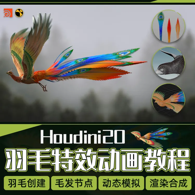 Houdini20教程生物毛发特效凤舞九天羽毛动态模拟Karma渲染全流程