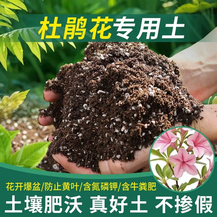 杜鹃花专用营养土疏松透气轻质土盆栽种菜养花种植土通用型肥料