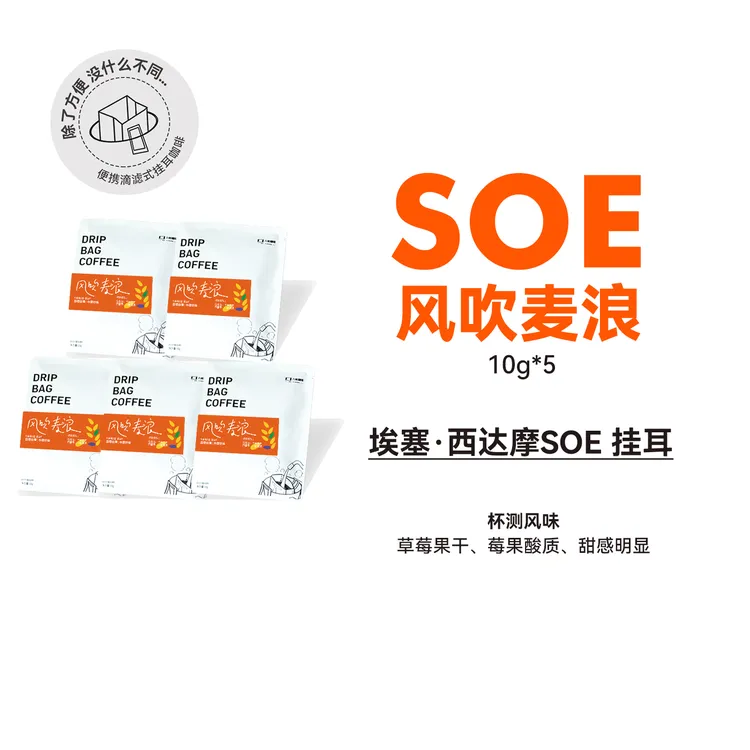 风吹麦浪 西达摩日晒 中烘挂耳咖啡5包散装便携挂耳咖啡
