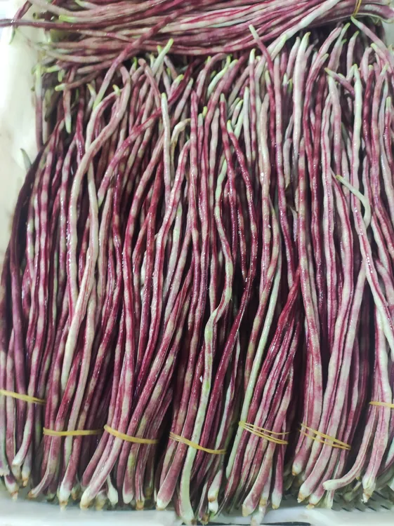 （顺丰包邮）农家自种花豇豆农家蔬菜早熟现摘包邮当季新鲜