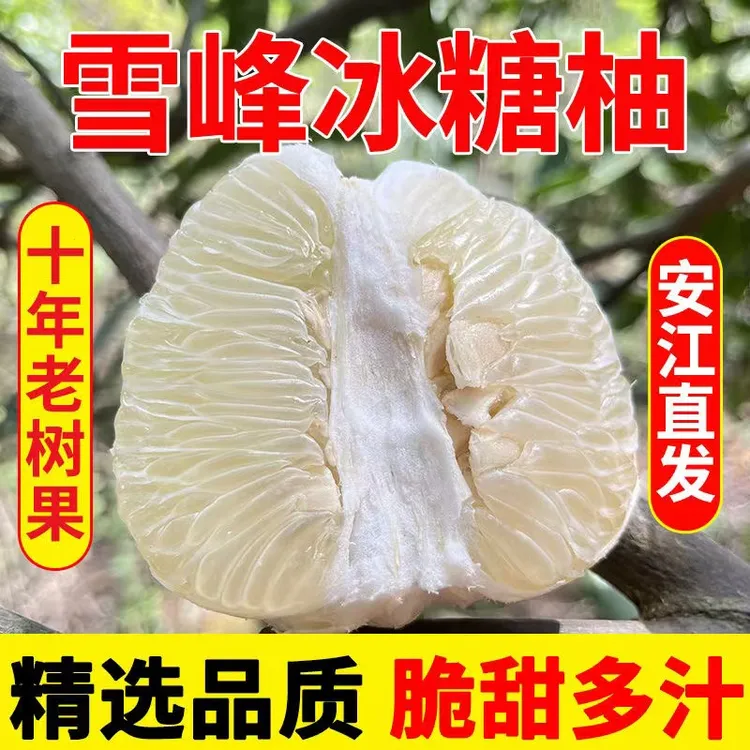 【老树清甜】湖南怀化安江冰糖柚雪峰山柚子小苦柚金兰柚脆脆麻麻柚