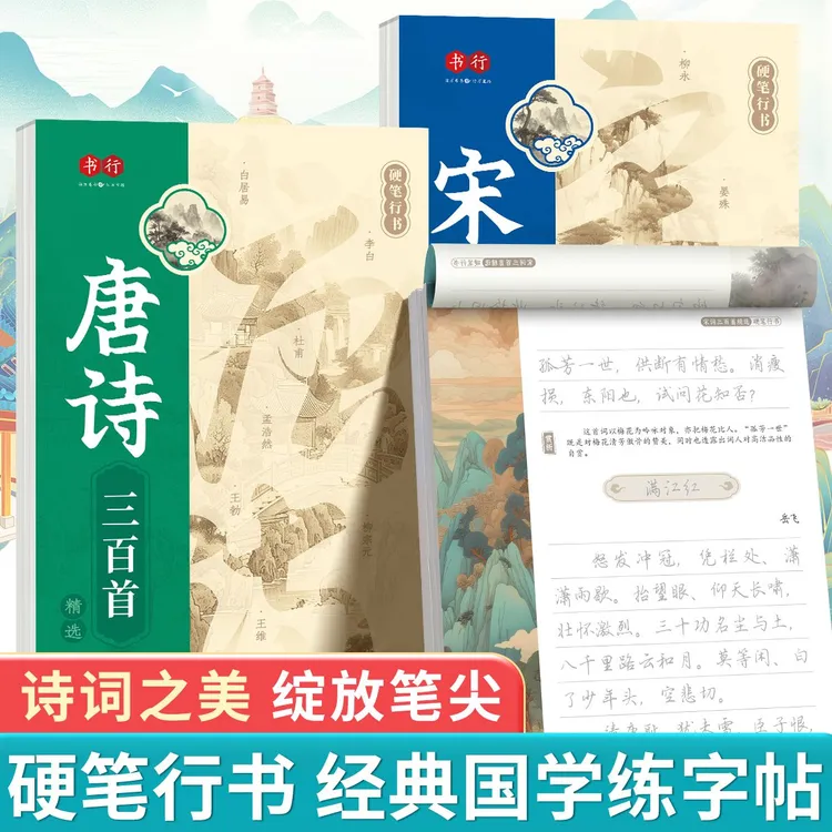 行书字帖国学经典练字帖王阳明成人行草零基础入门硬笔行书练字帖
