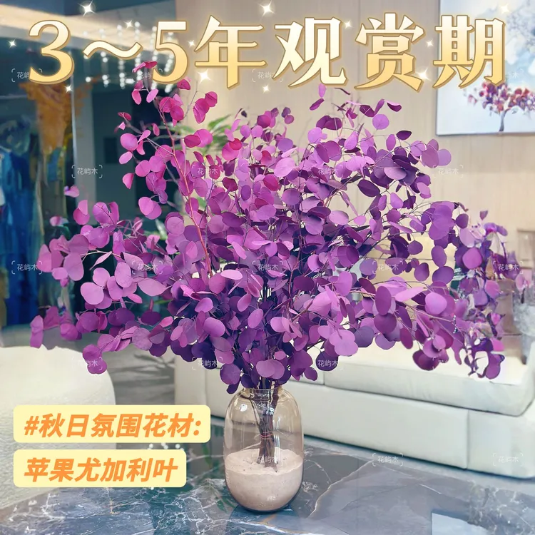 AAA级紫红色桌面苹果尤加利叶花材长期摆放高端家具软装鲜花