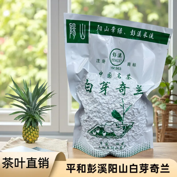 白芽奇兰新茶叶乌龙茶正宗彭溪阳山茶厂春茶浓香型原产地奇兰熟茶
