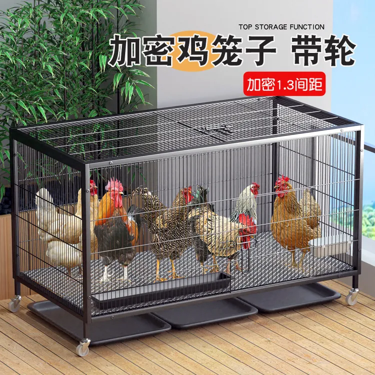 加密鸡笼子家用大号室外养鸡专用户外走地鸡鸭养殖笼家禽自动清粪
