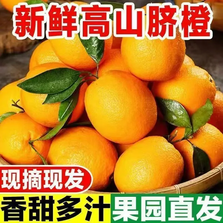 赣南脐橙（玲珑小果）正宗江西赣南寻乌脐橙产地直发现采现发