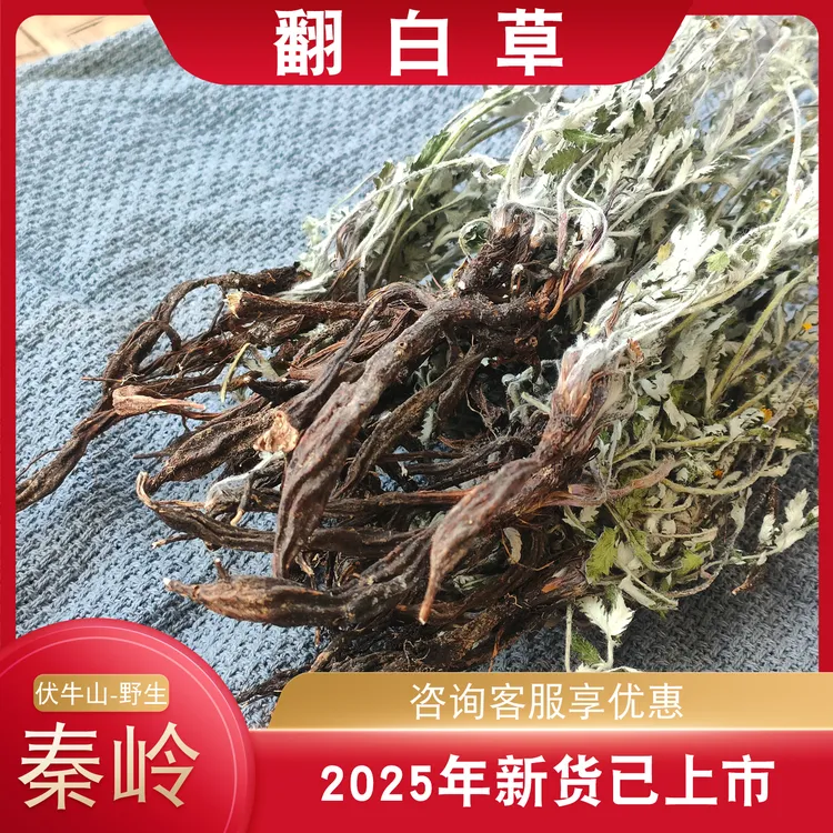 2025年新品野山坡生长正宗翻白草干货整棵带根新鲜切段番白草茶