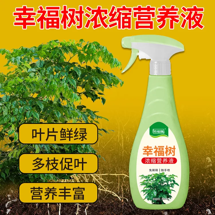 农福颂幸福树专用肥水培植物营养液家用水养花卉家庭浓缩植物通用