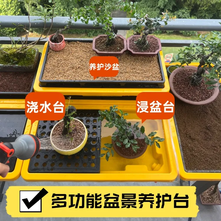 盆景保湿沙盆浸盆浇水湿度增加复壮促生根多功能盆景养护台带排水